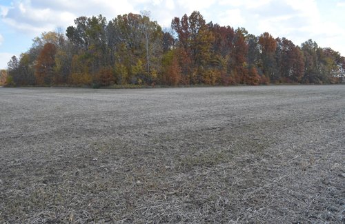 Property photo 20 - 75.3 Acres Offered in 2 Tracts